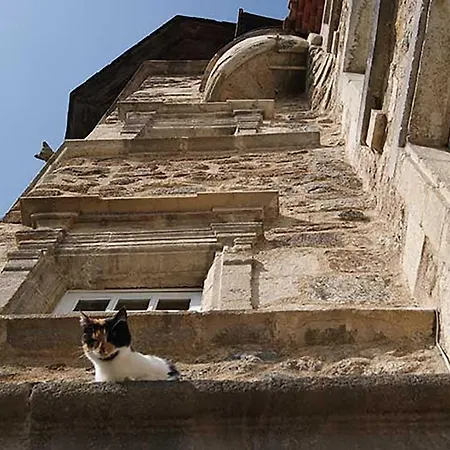 Bed & Breakfast Maison Au Loup - Superbe Ancien Particulier Du Xvie Siecle Au Coeur De La Vieille Du Puy Le Puy-en-Velay