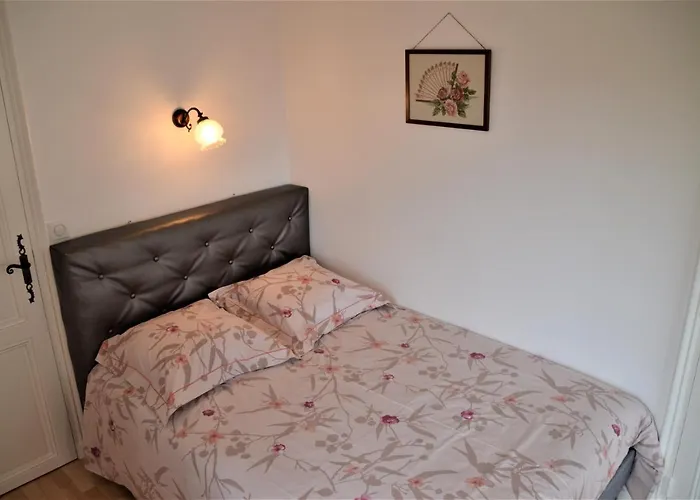 Maison Au Loup - Superbe Ancien Particulier Du Xvie Siecle Au Coeur De La Vieille Du Puy